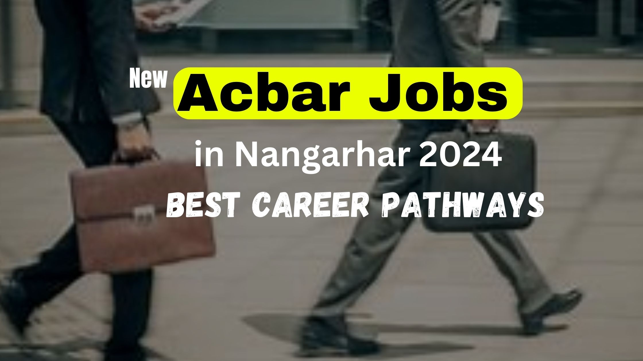New Acbar Jobs in Nangarhar 2024 Best Career Pathways